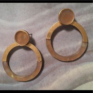 Acrylic & Metal Flat Hoop Earrings